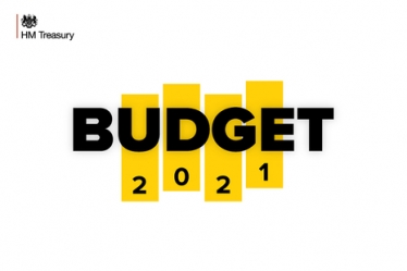 Budget 2021 Graphic